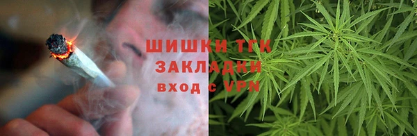ГАЛЛЮЦИНОГЕННЫЕ ГРИБЫ Арсеньев