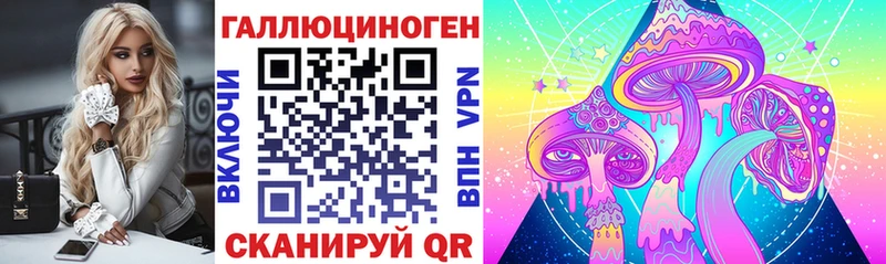 Псилоцибиновые грибы мицелий  Купить  Гатчина 